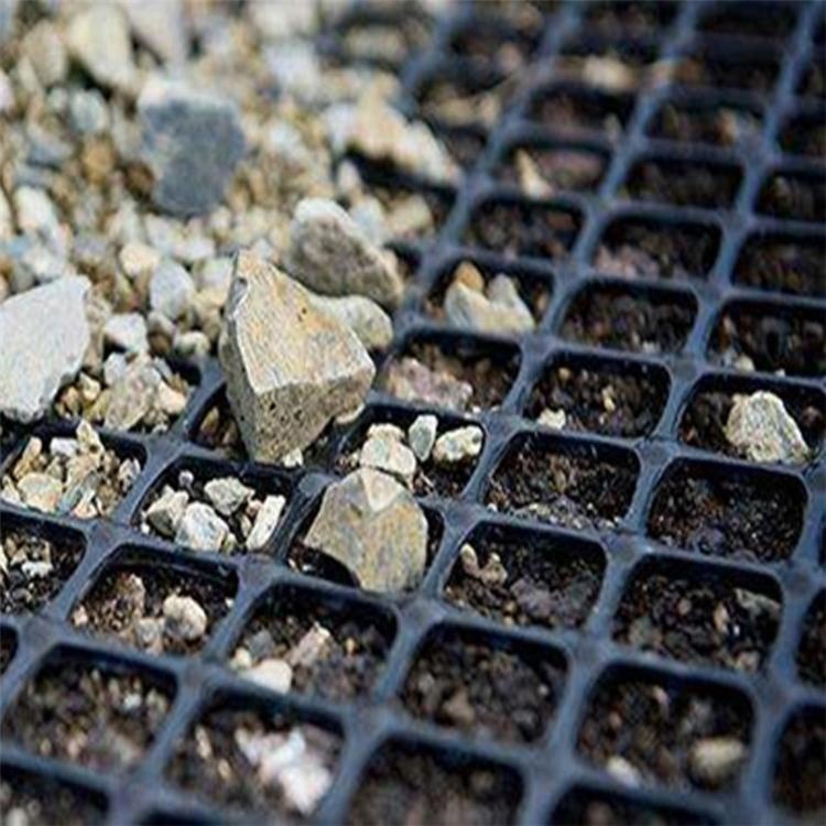Geogrid